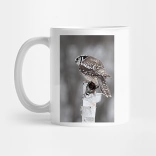 Northern Hawk Owl Mug